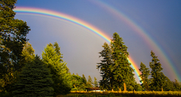 God’s Solution to Pride Month