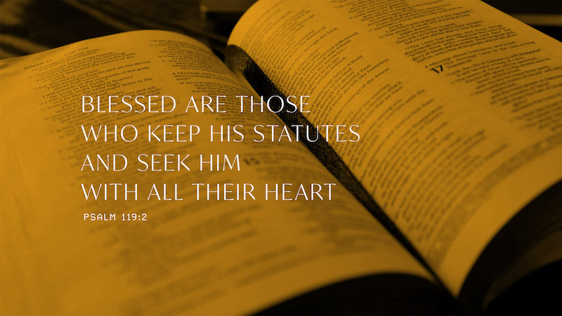 Obedience Breeds Peace