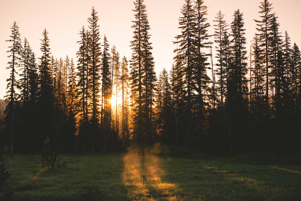 Ten Day Fast – Day 10: The Spirit is Speaking!