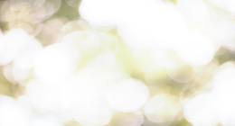 Testimonies from "Return to Me"