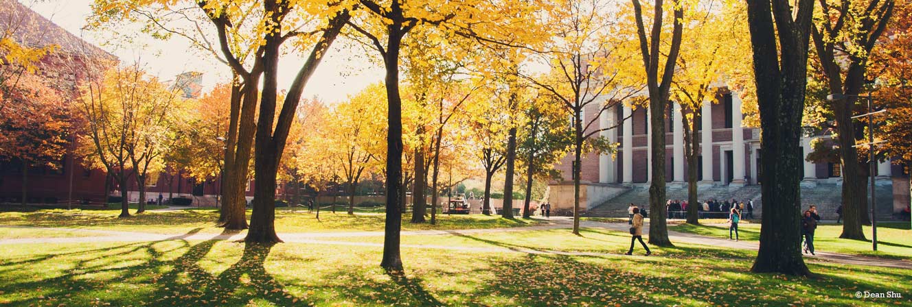 Clear as Mud at Harvard