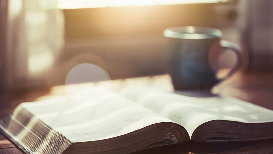 Discerning What Is Pleasing to the Lord