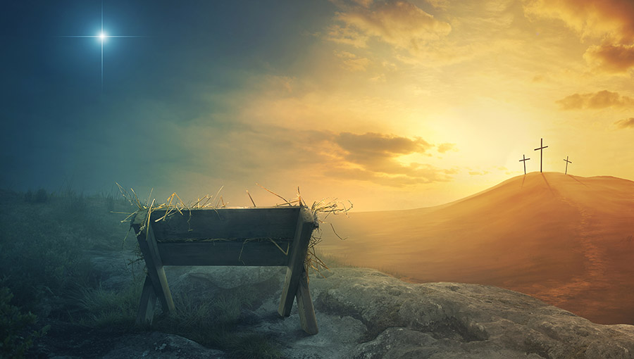 Advent Begins Where Human Potential Ends