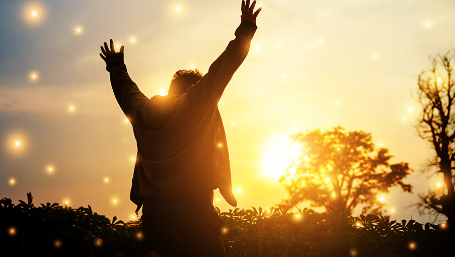 You Are Not Your Own: Belonging To God In An Inhuman World