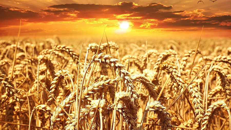 Throwback Thursday: Do We Have a Passion for Souls?