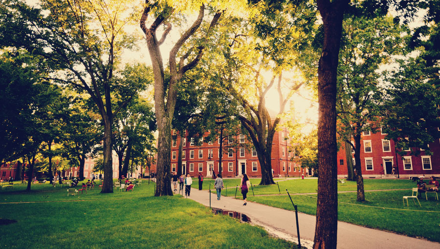 Harvard