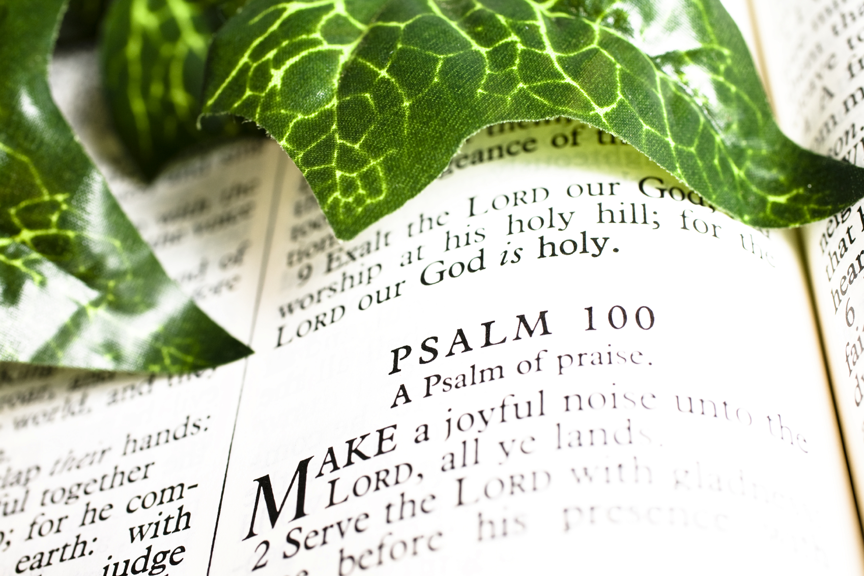 Bono & Eugene Peterson on The Psalms