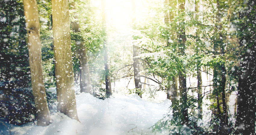 Why is There Winter in Narnia?