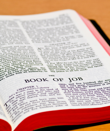 Out of the Whirlwind: Job and The Brothers Karamazov