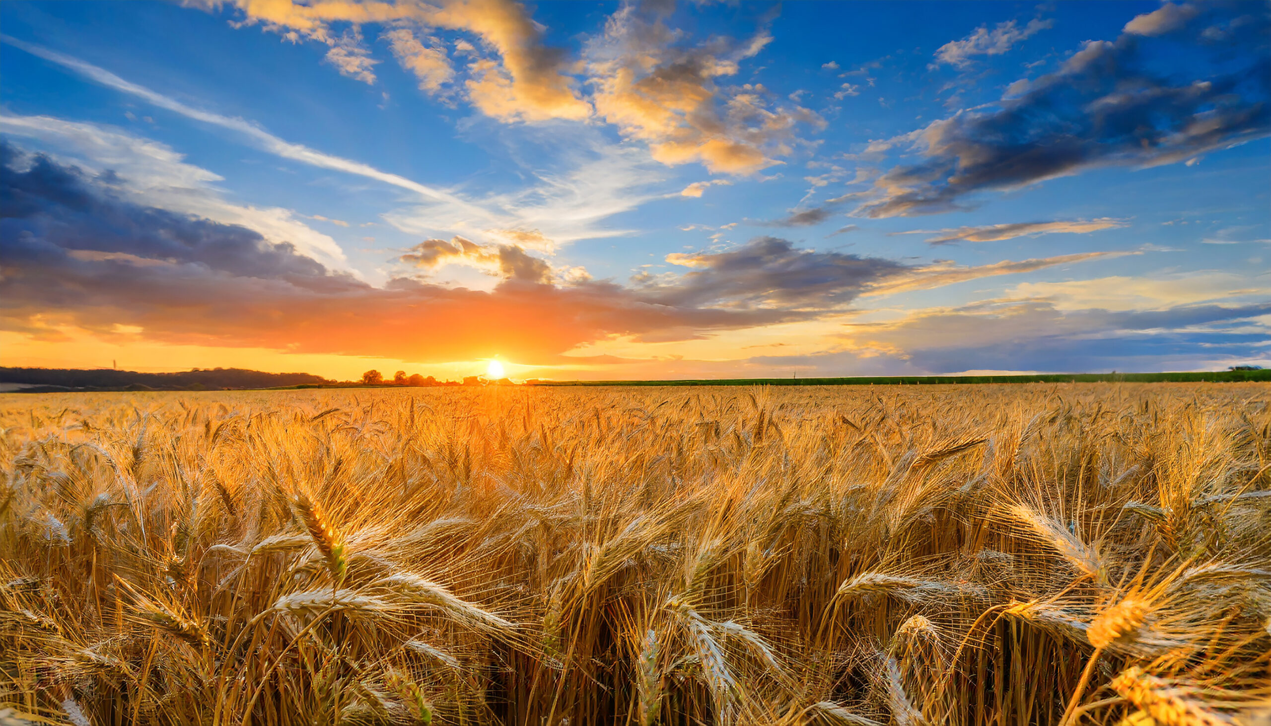 Devotional: Choosing Abundance Over Lack