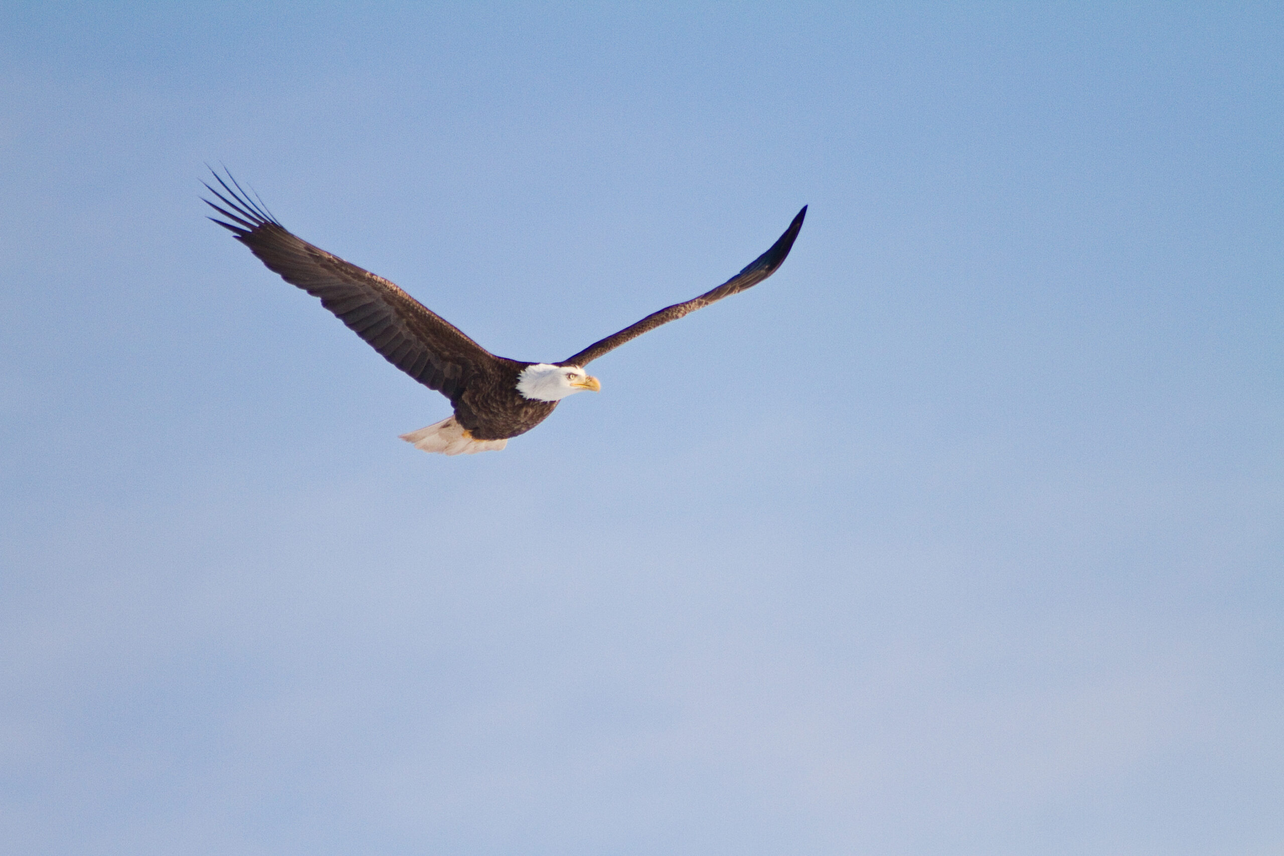 Devotional: Persevering in His Strength