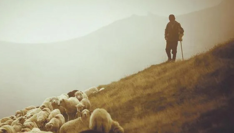 Shepherd the Flock of God That is Among You