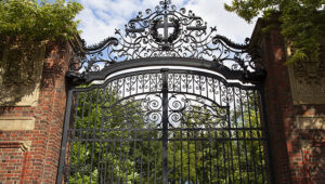 Harvard Alumni Panel: Community at the Cross