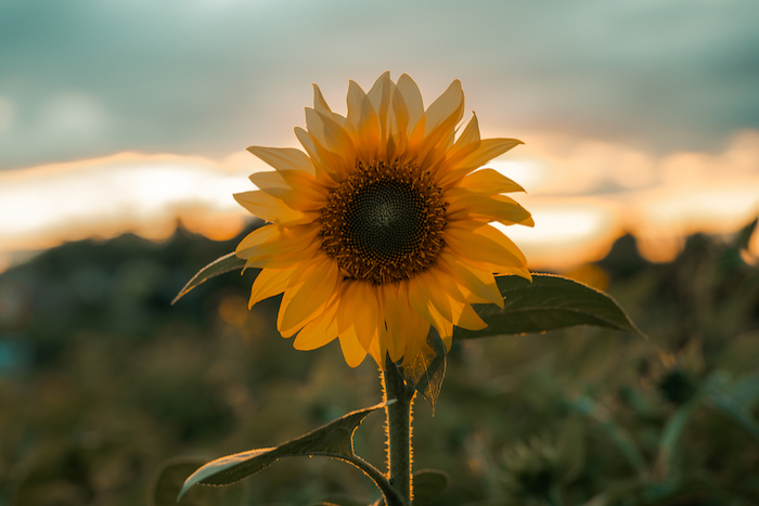 It’s Not About You