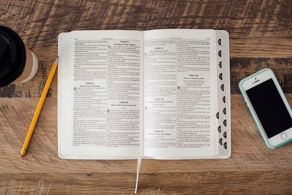 The Great Experiment – Day 5 (day)