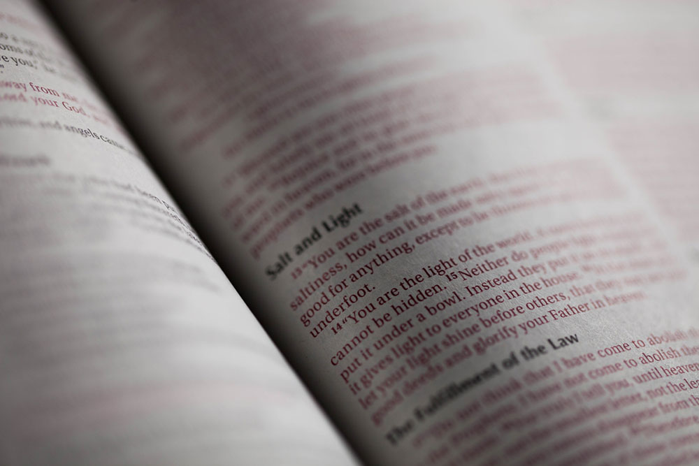 The Great Experiment – Day 6 (day)