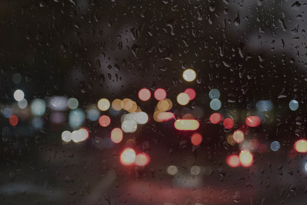 The Great Experiment – Day 8