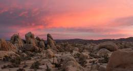 Fasting for Revival - Day & Night