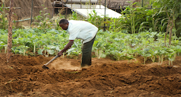 Christian Leaders Are Laborers - CU America