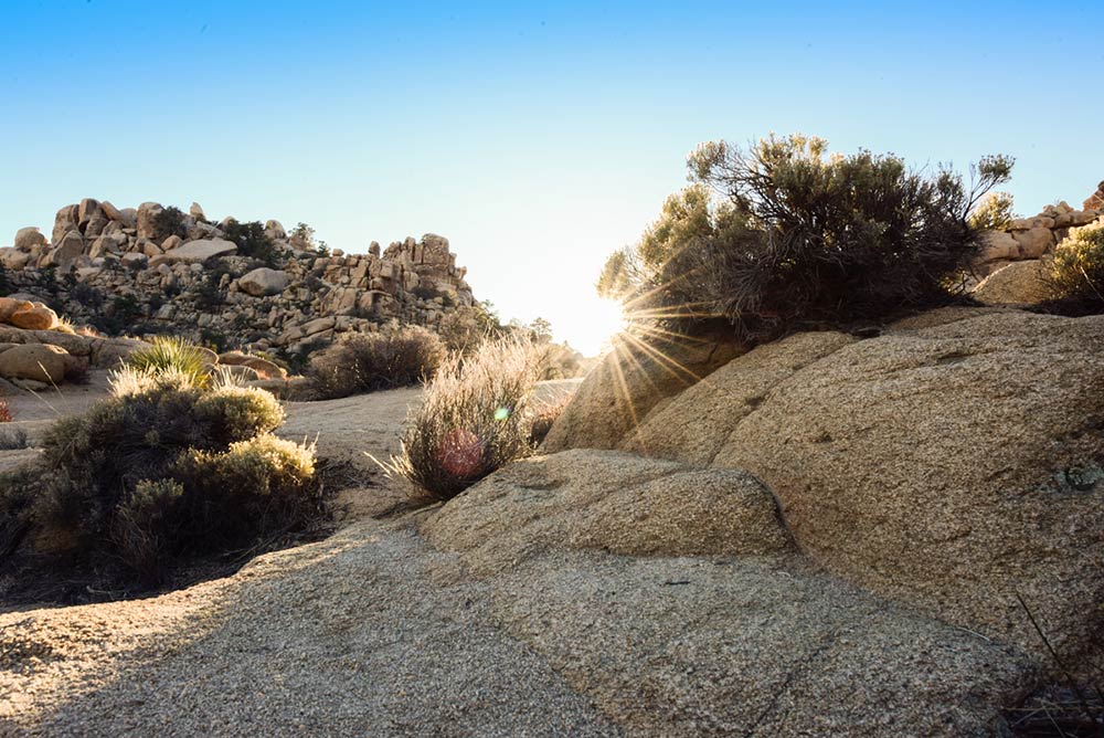 Ten Day Fast – Day 6: To God be Glory