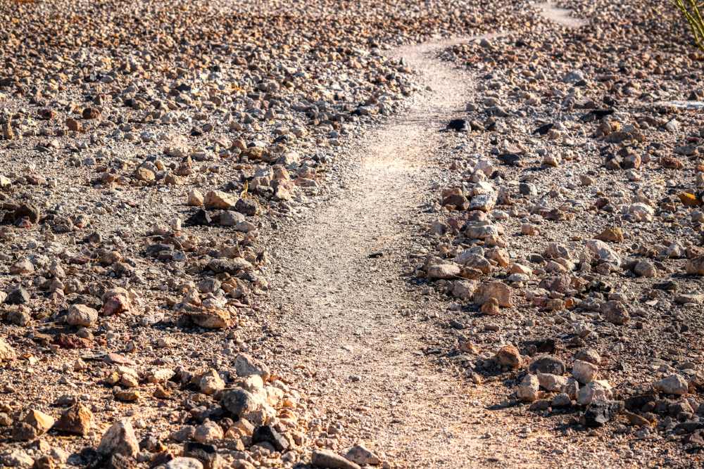 21 Day Fast – Day 11: Father, Free Me From These Shackles!