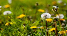 Weeding out Divisive People