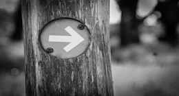The Narrow, Hard Way
