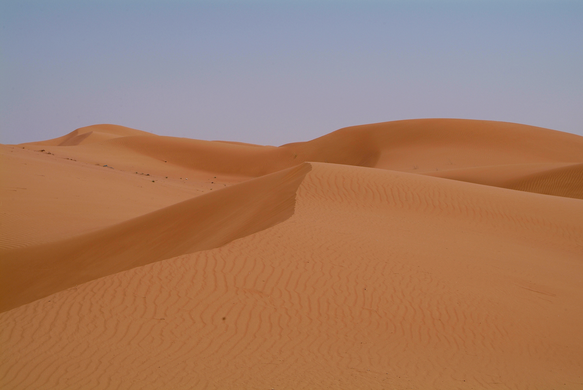 Sharpen Your Affections with Fasting - Day & Night