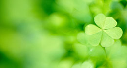 The True Story of St. Patrick