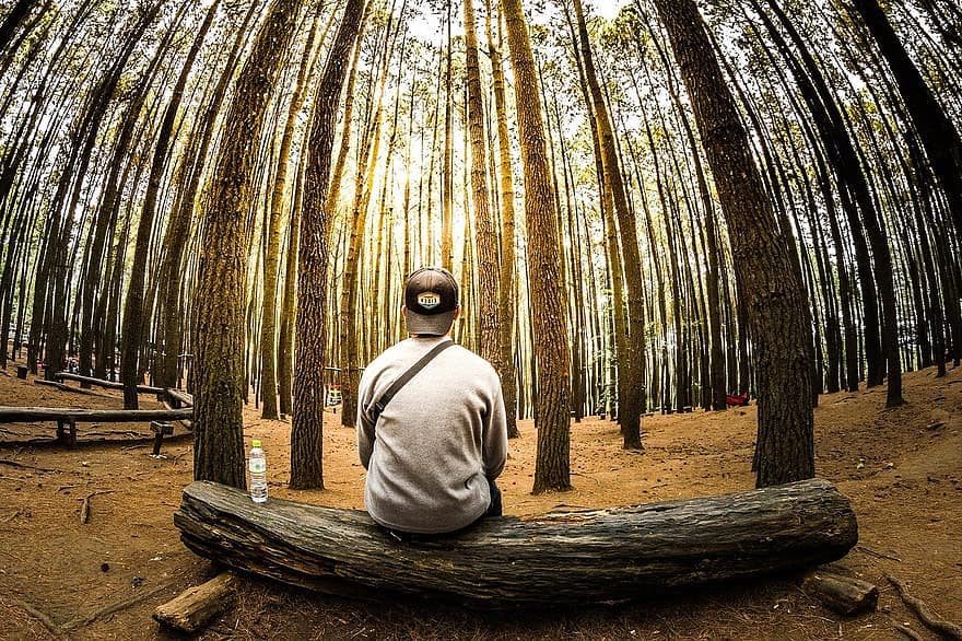 Wait for God in Silence