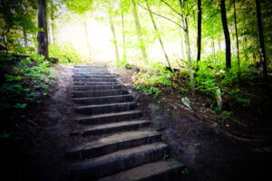 Seek Things Above