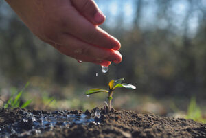 You Reap What You Sow