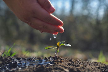 You Reap What You Sow