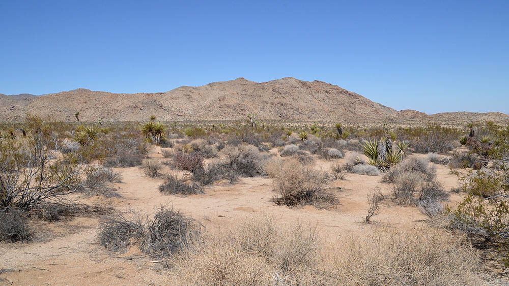 Heroes of Fasting – Day 4