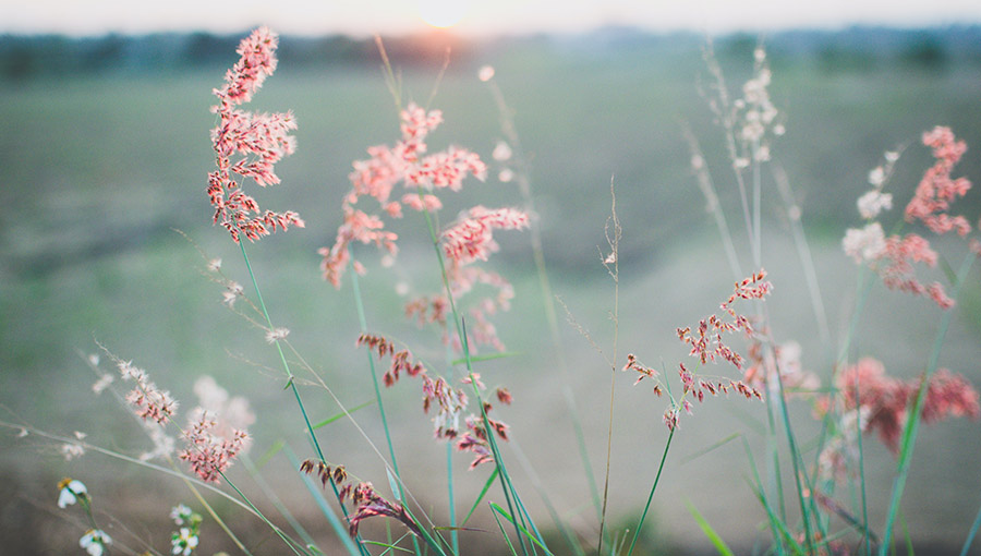 The Stillness Our Soul Craves